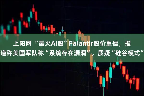 上阳网 “最火AI股”Palantir股价重挫，报道称美国军队称“系统存在漏洞”，质疑“硅谷模式”